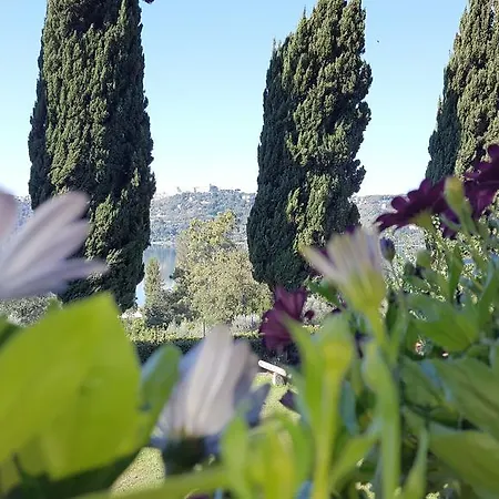 Bed & Breakfast Il Nido Del Falco 3*